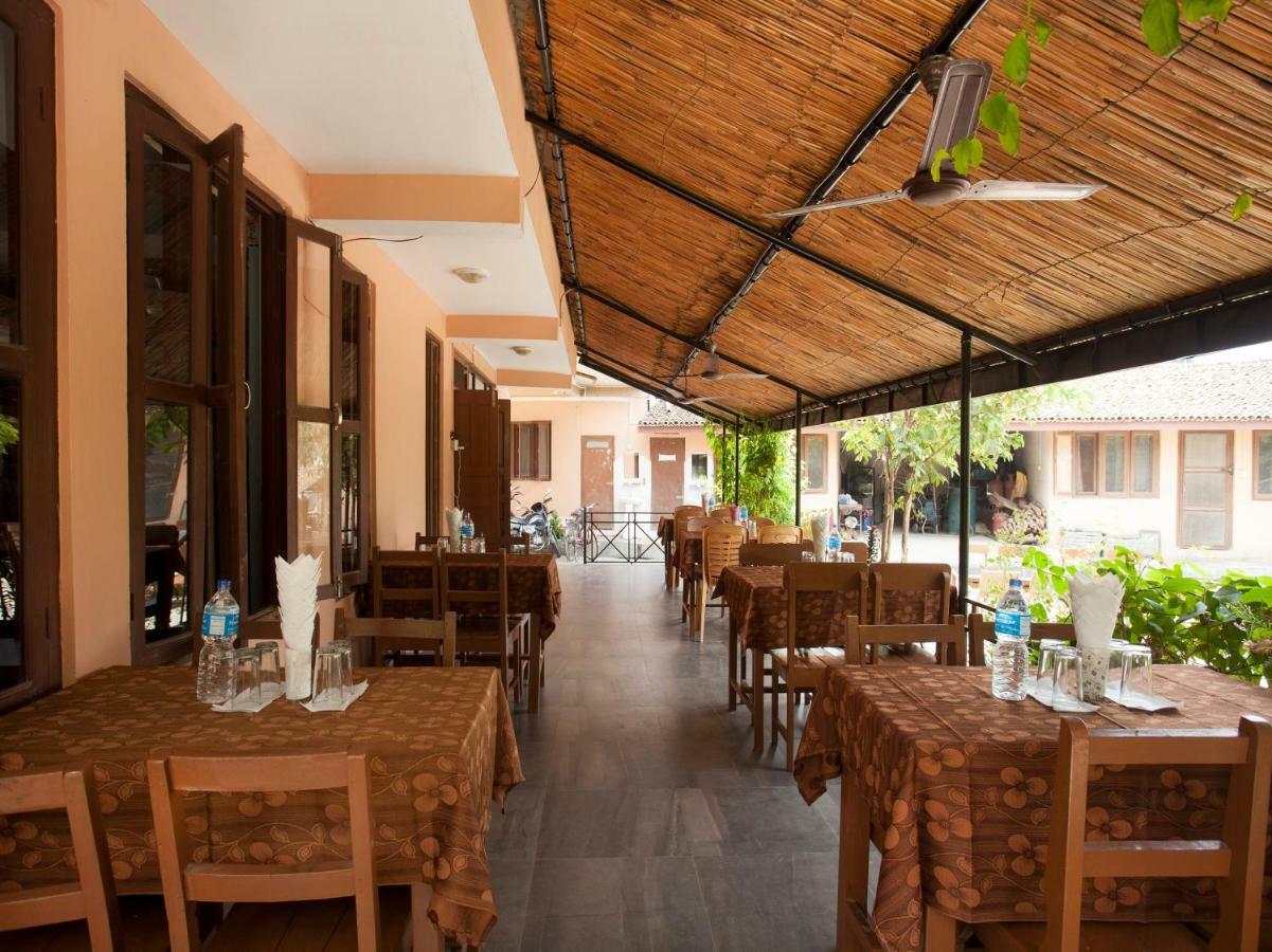 Spot On 486 Hotel Holy Lodge Sauraha Zewnętrze zdjęcie