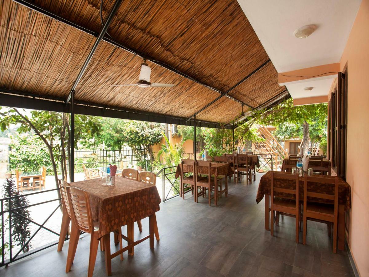 Spot On 486 Hotel Holy Lodge Sauraha Zewnętrze zdjęcie