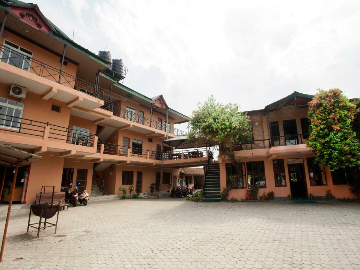 Spot On 486 Hotel Holy Lodge Sauraha Zewnętrze zdjęcie
