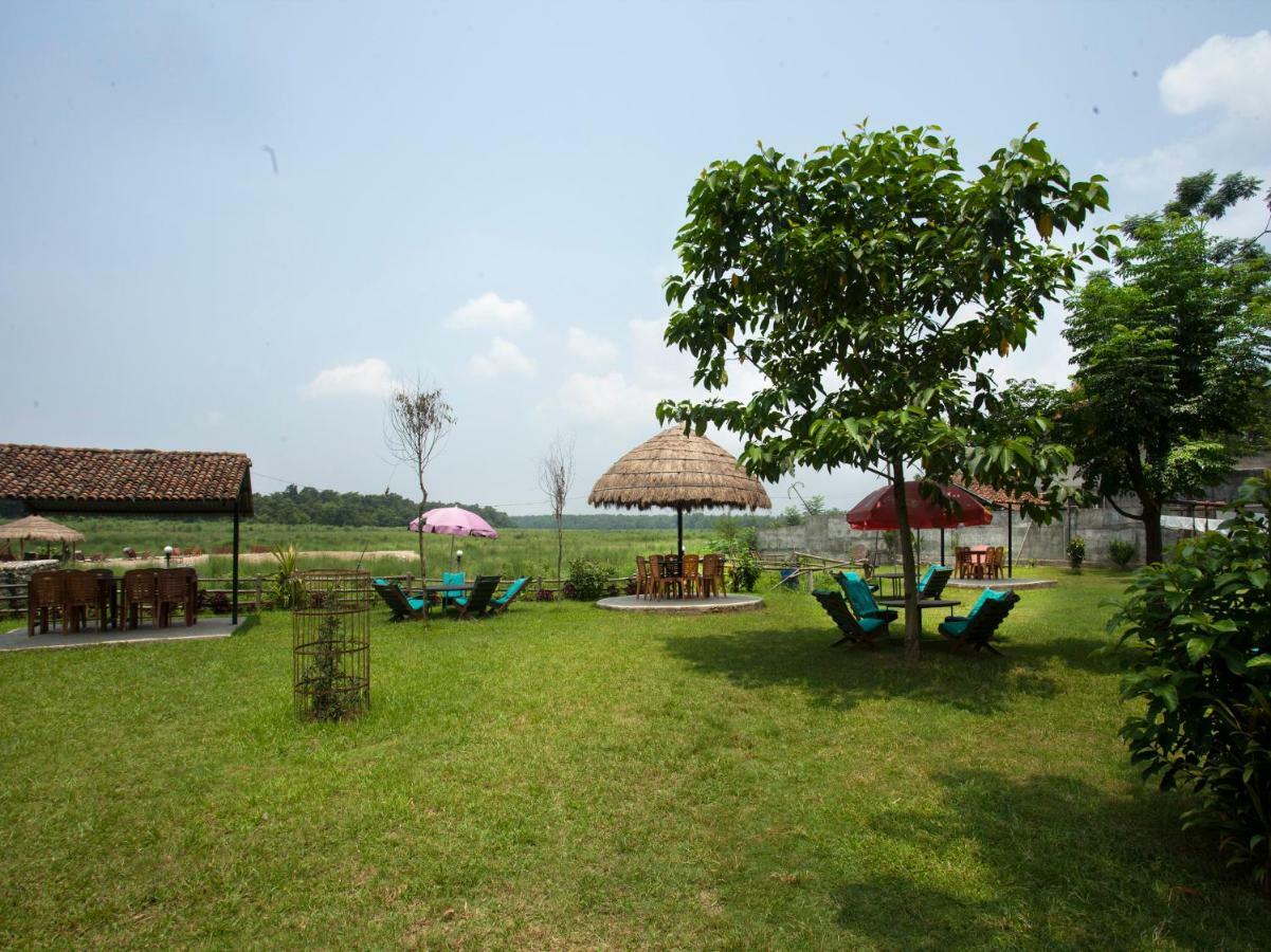 Spot On 486 Hotel Holy Lodge Sauraha Zewnętrze zdjęcie