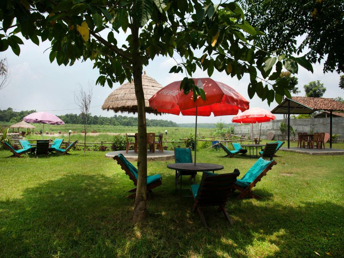 Spot On 486 Hotel Holy Lodge Sauraha Zewnętrze zdjęcie