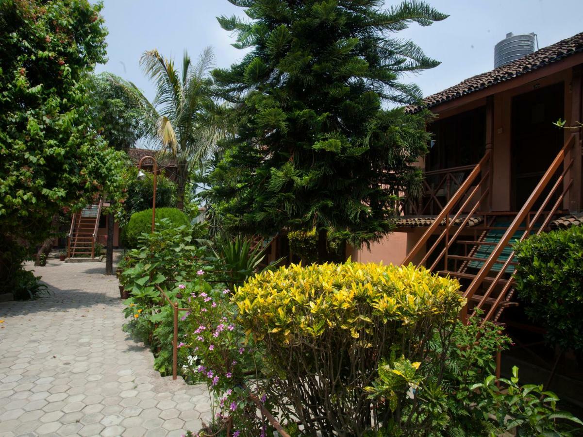 Spot On 486 Hotel Holy Lodge Sauraha Zewnętrze zdjęcie