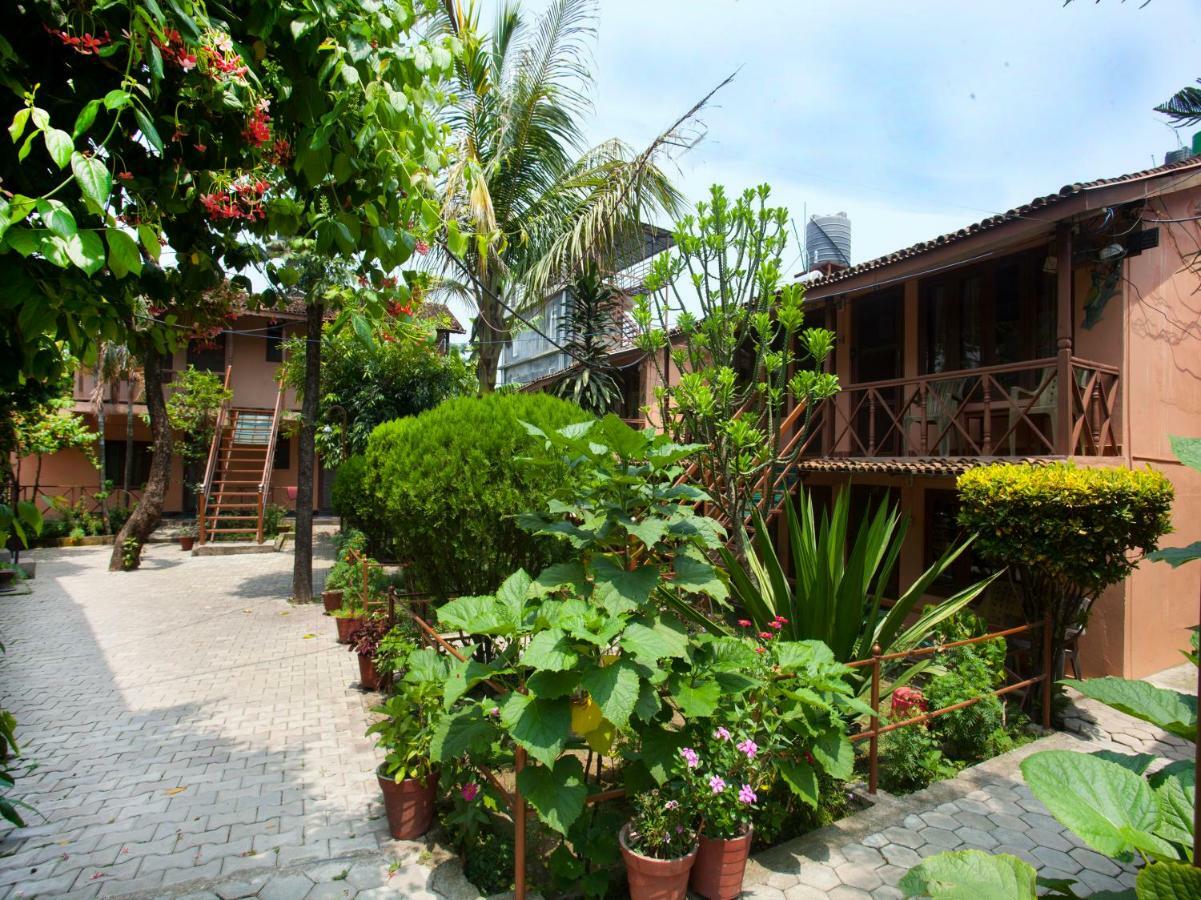 Spot On 486 Hotel Holy Lodge Sauraha Zewnętrze zdjęcie