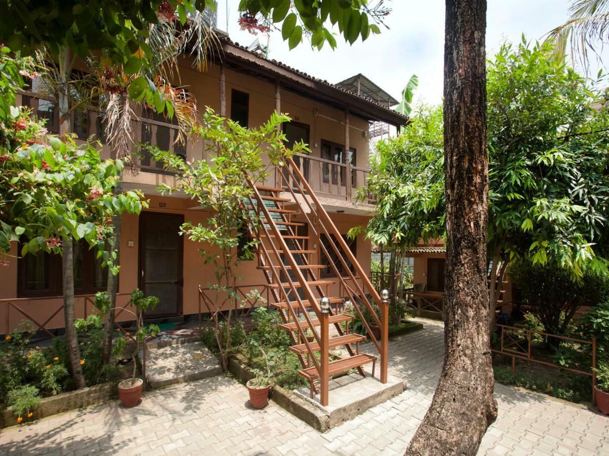 Spot On 486 Hotel Holy Lodge Sauraha Zewnętrze zdjęcie